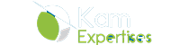 logo-img